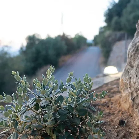Messinian Sunset * Kalamata